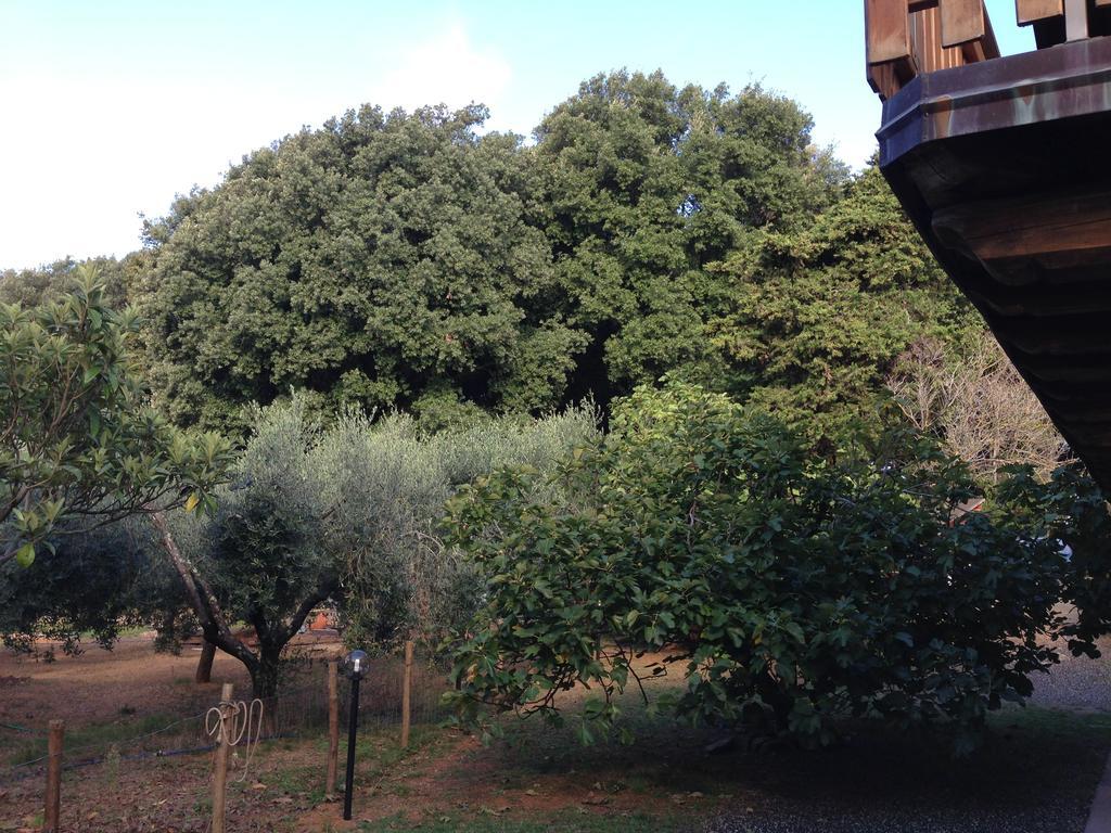 Bed and Breakfast Agriturismo "La Rosa Canina" Леричи Экстерьер фото
