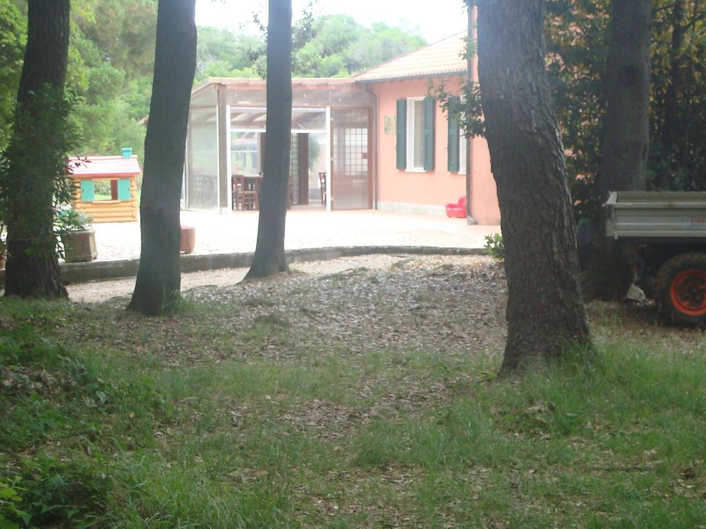 Bed and Breakfast Agriturismo "La Rosa Canina" Леричи Экстерьер фото
